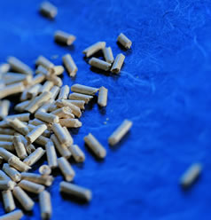 Holzpellets für Pelletofen wasserführend Pellets für einen wasserführenden Pelletofen